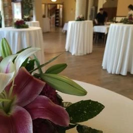 Aqua Hotel Kistelek Kistelek - Egyéb