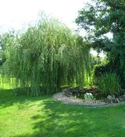 Gólyavár Porta Tiszafüred