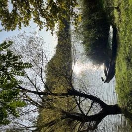 Zengő Zug Komló - Egyéb