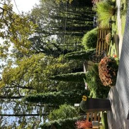 Zengő Zug Komló - Egyéb