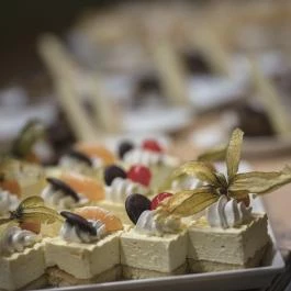 Mjus Resort & Thermal Park Körmend - Vendéglátás