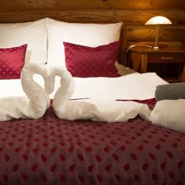 Szent Orbán Erdei Wellness Hotel Kóspallag - Egyéb