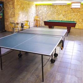 Szent Orbán Erdei Wellness Hotel Kóspallag - Egyéb