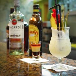 Szent Orbán Erdei Wellness Hotel Kóspallag - Egyéb