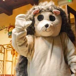 Szent Orbán Erdei Wellness Hotel Kóspallag - Egyéb