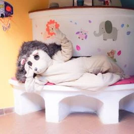 Szent Orbán Erdei Wellness Hotel Kóspallag - Egyéb