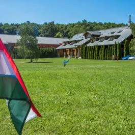 Szent Orbán Erdei Wellness Hotel Kóspallag - Egyéb