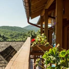 Szent Orbán Erdei Wellness Hotel Kóspallag - Egyéb