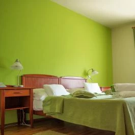 Szent Orbán Erdei Wellness Hotel Kóspallag - Egyéb