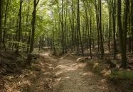 Szent Orbán Erdei Wellness Hotel Kóspallag Szent Orbán Erdei Wellness Hotel Kóspallag