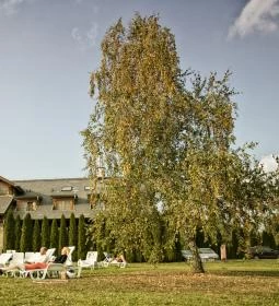 Szent Orbán Erdei Wellness Hotel