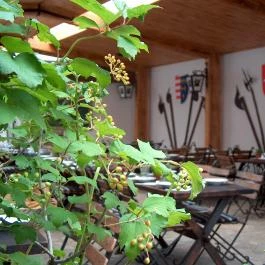 Bécsikapu Étterem Kőszeg - Egyéb