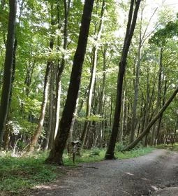 8. legjobb látnivaló: Írottkő Natúrpark