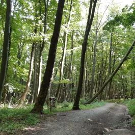 Írottkő Natúrpark Kőszeg - Egyéb