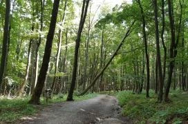 Írottkő Natúrpark Kőszeg