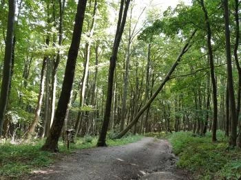 Írottkő Natúrpark Kőszeg