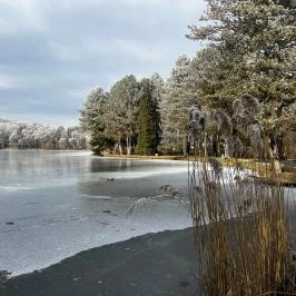 Fortuna Apartman Kőszeg - Medence/kert