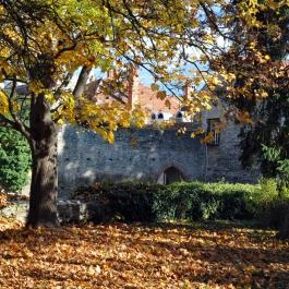 Hotel Írottkő Kőszeg - Egyéb