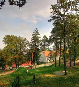 Keresztkút Erdei Pihenőhely 