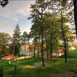 Keresztkút Erdei Pihenőhely Kőszeg - Medence/kert