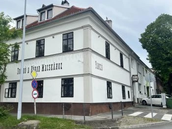 Kóbor Macska Fogadó Kőszeg