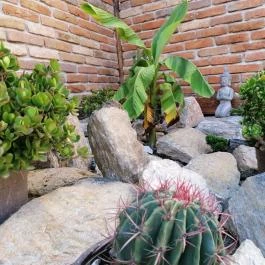 Kőkert Pihenőház Kőszeg - Medence/kert