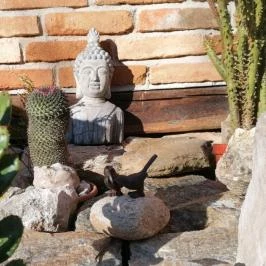 Kőkert Pihenőház Kőszeg - Medence/kert