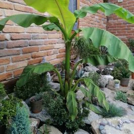 Kőkert Pihenőház Kőszeg - Egyéb