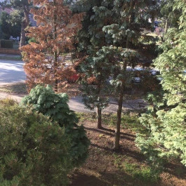 Liliom Apartman Kőszeg - Egyéb