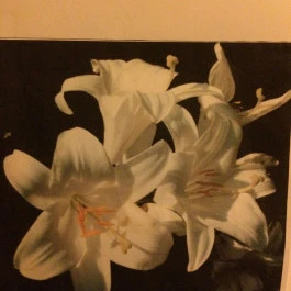 Liliom Apartman Kőszeg - Egyéb