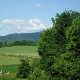 Patakpart Panzió Kőszegdoroszló - Környék