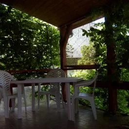 Négy Évszak Vendégház Kővágószőlős - Egyéb