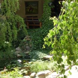 Négy Évszak Vendégház Kővágószőlős - Egyéb