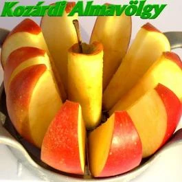 Vadvirág Étterem Kozárd - Egyéb