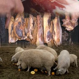 Vadvirág Étterem Kozárd - Egyéb