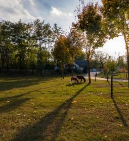 Naturfarm Ladánybene