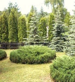 Dunakanyar Gyöngye Panoráma Nyaraló