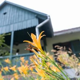 Leányvirág Vendégház Leányfalu - Szobák