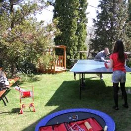 Villa Székely Leányfalu - Szórakozás/Sport