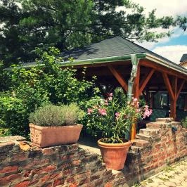 Hotel Zéta Lenti - Medence/kert