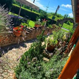 Hotel Zéta Lenti - Egyéb