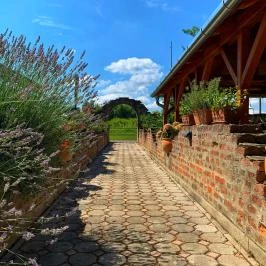 Hotel Zéta Lenti - Egyéb