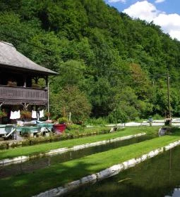 349. legjobb látnivaló: Pisztrángtelep