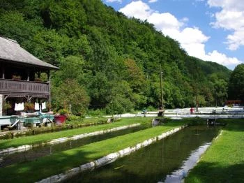 Pisztrángtelep Lillafüred