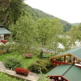 Hotel Tókert Lillafüred - Medence/kert