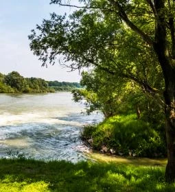 Szigetközi Tájvédelmi Körzet