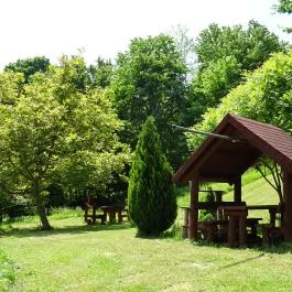 Rejtek Vendégház és Kisrejtek Apartmanház Lispeszentadorján - Medence/kert