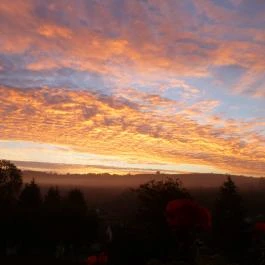 Rejtek Vendégház és Kisrejtek Apartmanház Lispeszentadorján - Egyéb