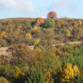Rejtek Vendégház és Kisrejtek Apartmanház Lispeszentadorján - Egyéb