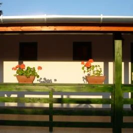 Rejtek Vendégház és Kisrejtek Apartmanház Lispeszentadorján - Egyéb